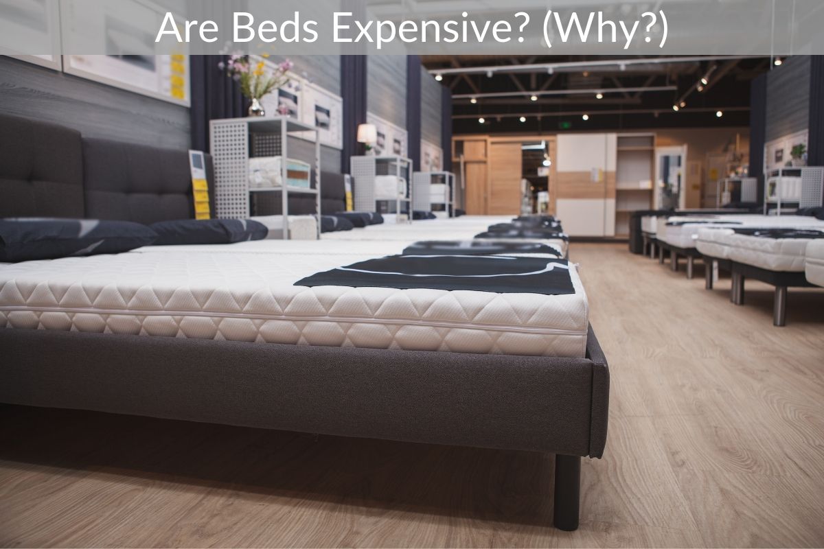 Are Beds Expensive? (Why?)