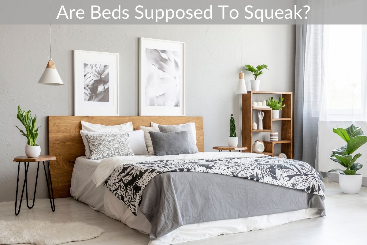 Are Beds Supposed To Squeak?