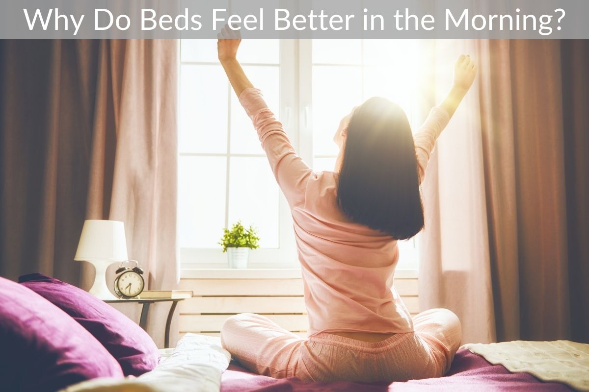 Why Do Beds Feel Better in the Morning?